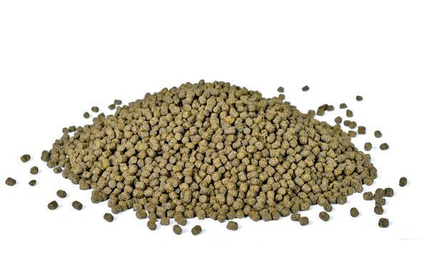 Корм NISHIKI SPIRULINA для ставкових риб SPIRULINA фото