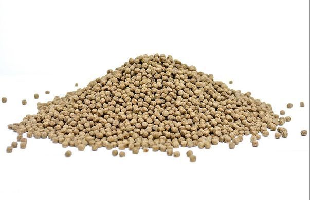 Корм NISHIKI IMMUNO для коропів Кої 6.0 мм в пакуванні 10 л IMMUNO-6мм_10l фото
